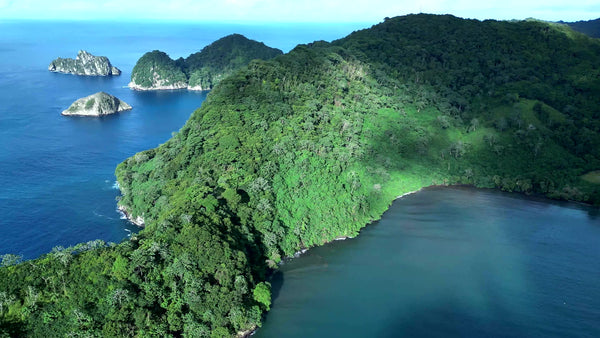 Blog Q4 2023 - Costa Rica, Cocos Island & Captain Paul Watson Foundation (CPWF)
